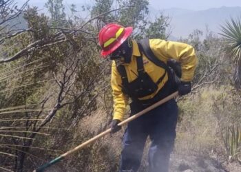 Tamaulipas logra la liquidación total del incendio forestal en Bustamante