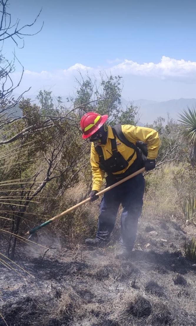 Tamaulipas logra la liquidación total del incendio forestal en Bustamante