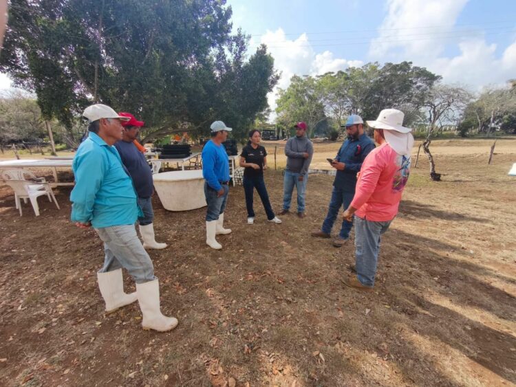 Impulsan desarrollo de granjas de ostión en Aldama y San Fernando