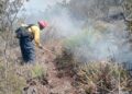 Continúan labores para el control y liquidación de incendio forestal en el Cerro El Tepozán