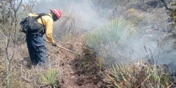 Continúan labores para el control y liquidación de incendio forestal en el Cerro El Tepozán