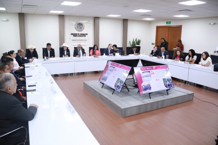 Con semillas, fertilizantes, cambio de cultivos y otros apoyos, el campo tamaulipeco se transforma