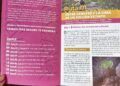 Para vivir y explorar Tamaulipas, presentan tres guías turísticas