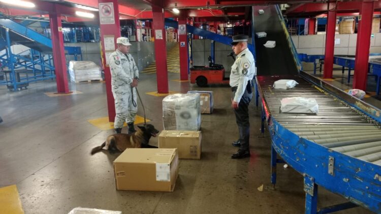 Aseguran droga en aeropuerto de San Luis Potosí