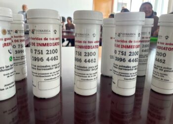 Actualización de extensionistas, clave para detección temprana de la plaga