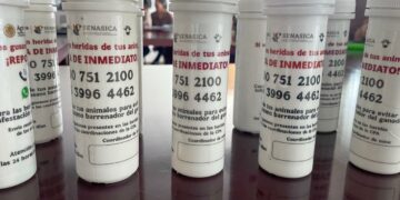 Actualización de extensionistas, clave para detección temprana de la plaga