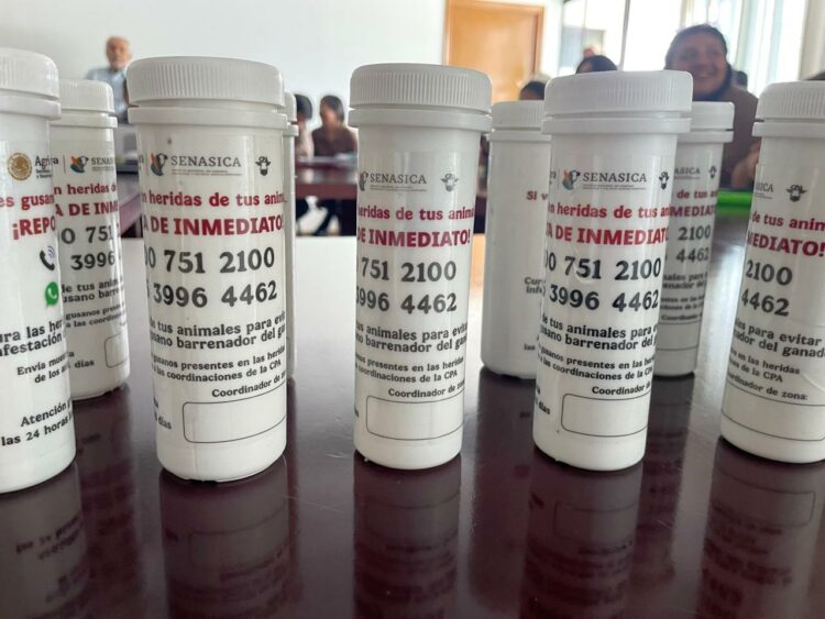 Actualización de extensionistas, clave para detección temprana de la plaga