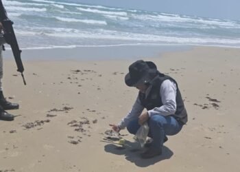 Playas tamaulipecas se mantienen limpias y bajo monitoreo constante: Semarnat
