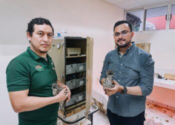 Nacen dos emús en el Zoológico Tamatán