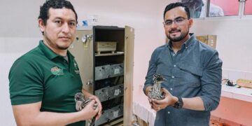 Nacen dos emús en el Zoológico Tamatán