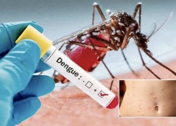 Controlado dengue y sarampión en Tamaulipas: Adriana Marcela Hernández