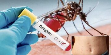 Controlado dengue y sarampión en Tamaulipas: Adriana Marcela Hernández