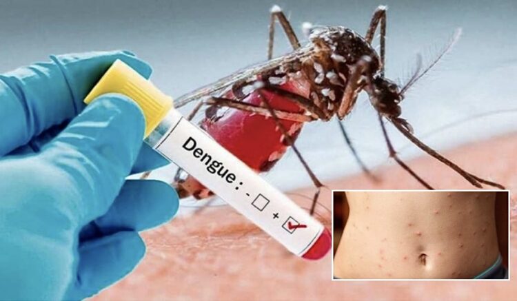 Controlado dengue y sarampión en Tamaulipas: Adriana Marcela Hernández