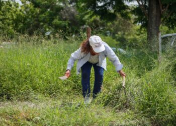Impulsando tu Bienestar mejorará espacios públicos