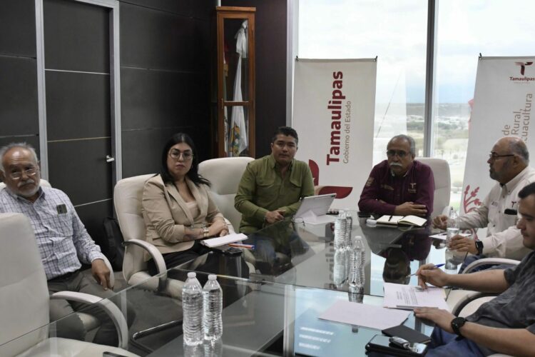 Estructura Tamaulipas proyecto para elevar la producción de carne de calidad