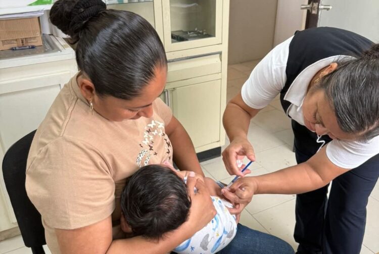 Preparan Semana Nacional de Vacunación 2026, con más de 2.4 millones de dosis