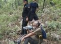 Rescatan a adulto mayor y niño extraviados en Pino Solo