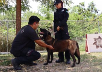 Redobla SSPT medidas de protección a elementos caninos de la Guardia Estatal ante altas temperaturas