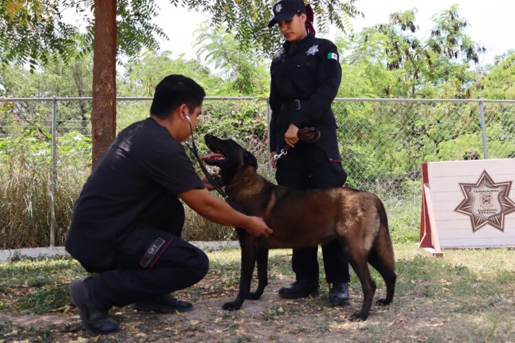 Redobla SSPT medidas de protección a elementos caninos de la Guardia Estatal ante altas temperaturas