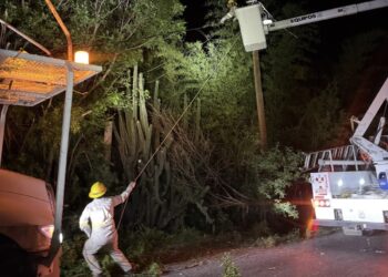 Informa CFE restablecimiento del servicio en Hidalgo, San Luis Potosí, Tamaulipas y Veracruz