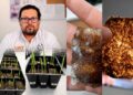 Patenta la UAT bioplásticos que recuperan suelos erosionados