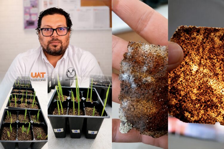 Patenta la UAT bioplásticos que recuperan suelos erosionados