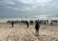Liberan crías de tortugas lora en La Pesca