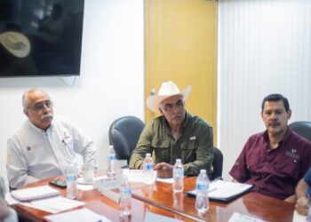 Fortalecen vigilancia fitosanitaria para contener el cancro de los cítricos