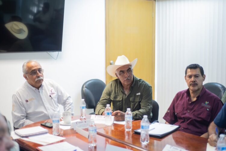 Fortalecen vigilancia fitosanitaria para contener el cancro de los cítricos
