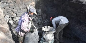 Lidera Tamaulipas la producción nacional de carbón vegetal