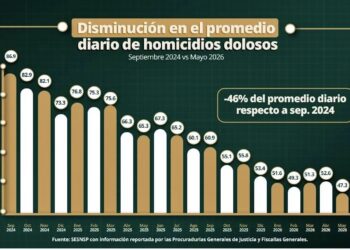 Aseguran 29,500 armas de fuego en lo que va del sexenio