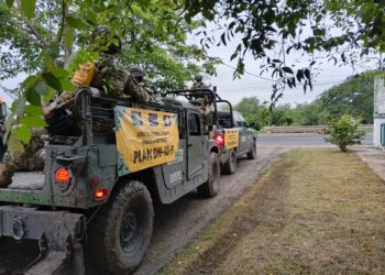 Ejército, autoridades estatales y municipales aplican Plan DN-III-E en Tamaulipas