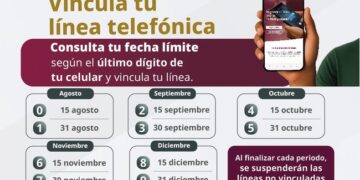 Dan prórroga en registro de líneas de celular