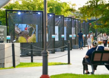 Invita Turismo a vivir “Alas en Libertad”