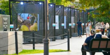 Invita Turismo a vivir “Alas en Libertad”